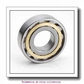 30 mm x 72 mm x 19 mm  NACHI 21306E rolamentos de rolos cilíndricos