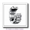 85 mm x 180 mm x 41 mm  SKF NJ 317 ECM Rolamentos de esferas de impulso