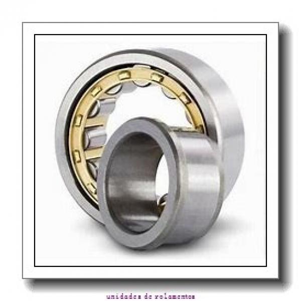 SKF SYNT 100 FTF unidades de rolamentos #1 image