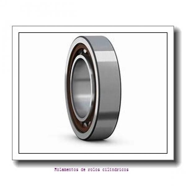 105 mm x 190 mm x 36 mm  NKE NUP221-E-TVP3 rolamentos de rolos cilíndricos #2 image